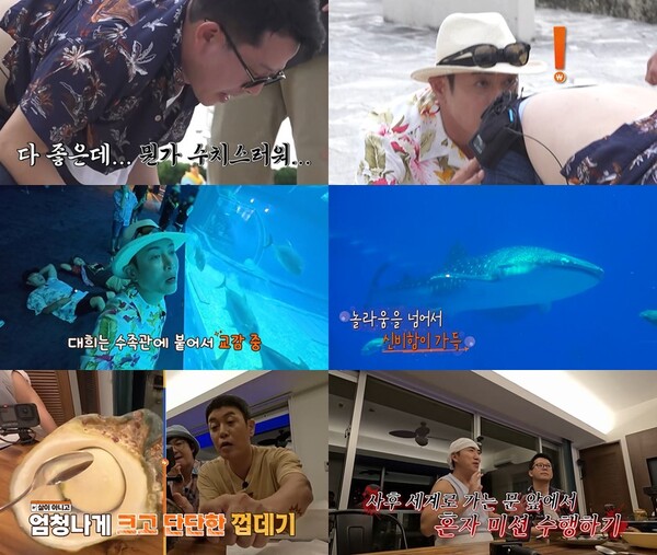 대표 이미지