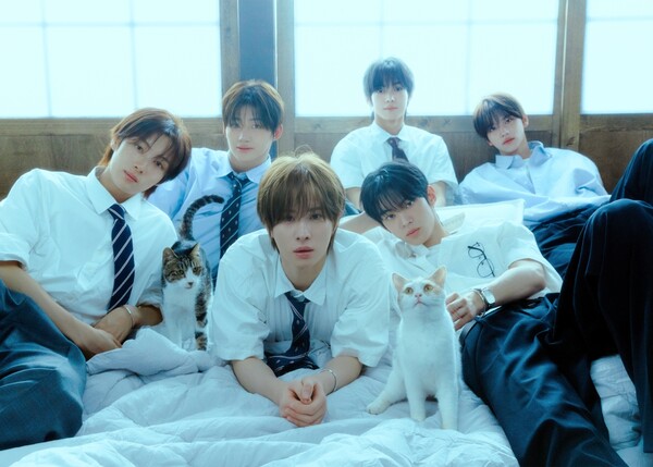 대표 이미지