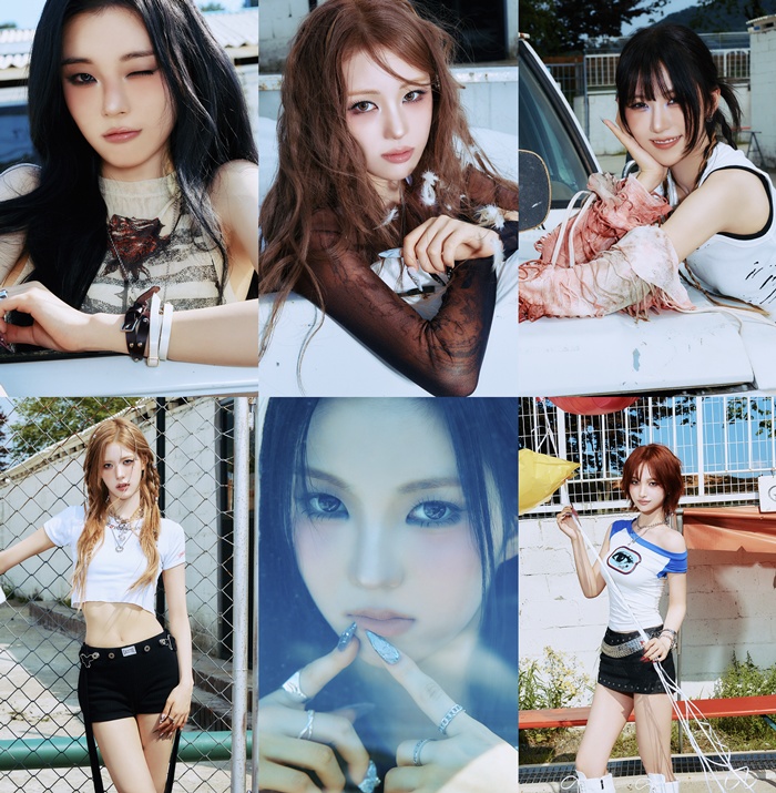 대표 이미지