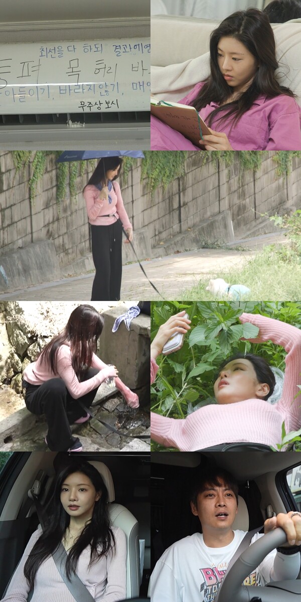 대표 이미지