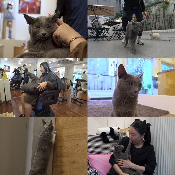 대표 이미지