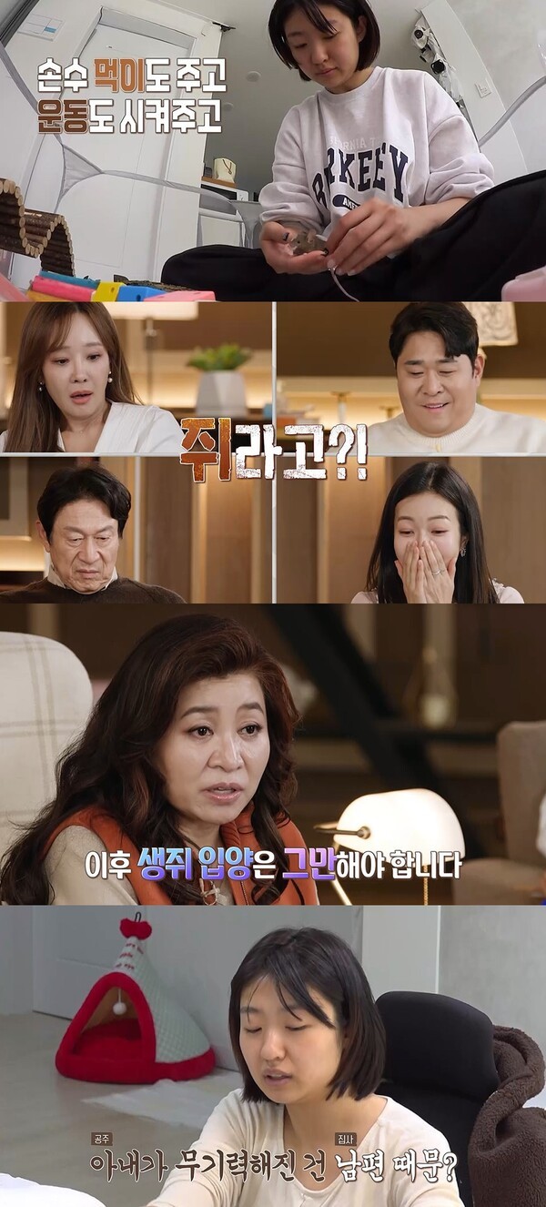 대표 이미지