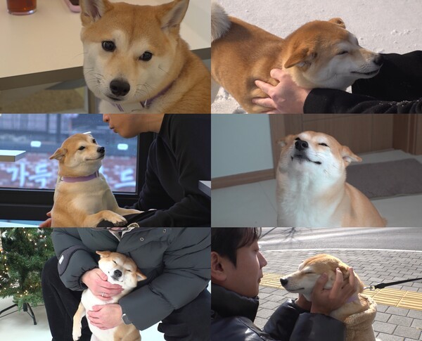 대표 이미지