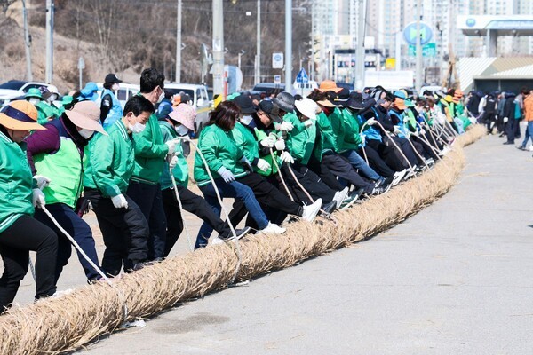 [Regional N Culture] Gijisi Tug-of-War, a 500-Year Ritual Rooted in ...