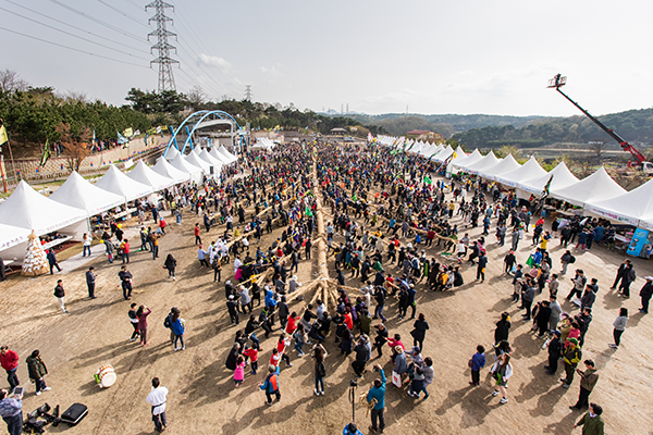 [Regional N Culture] Gijisi Tug-of-War, a 500-Year Ritual Rooted in ...