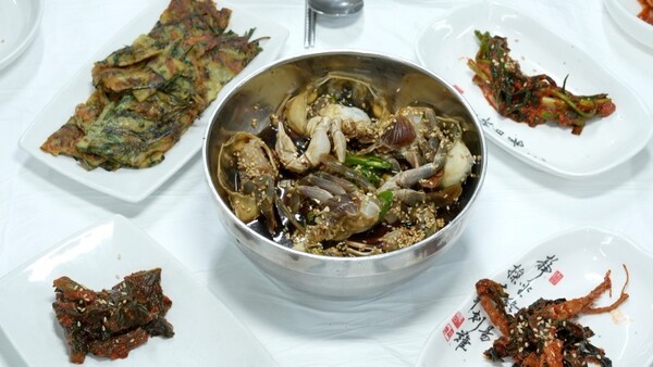 한국기행 가성비 투어 관련 기사 이미지