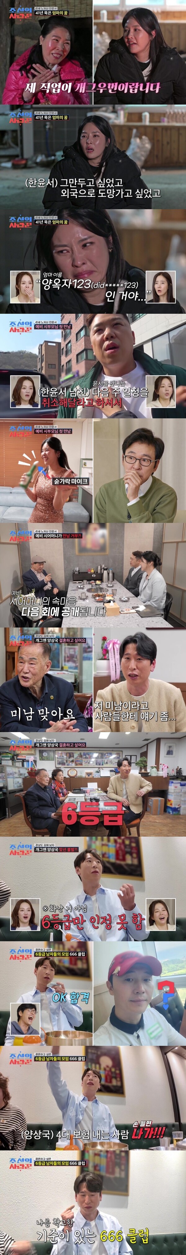 등급제 관련 연예인 뉴스