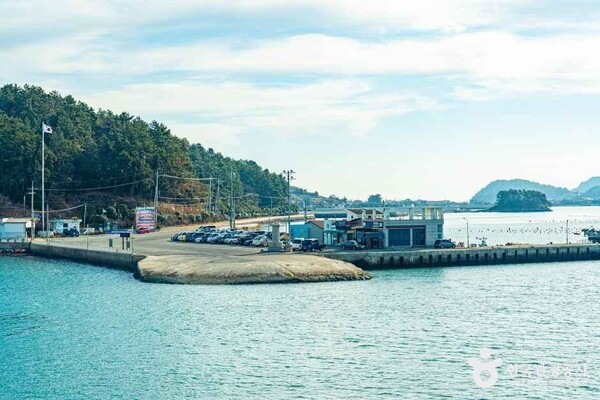 위기의 바다를 구하는 실천, 제31회 바다의 날 - 뉴스 썸네일 이미지