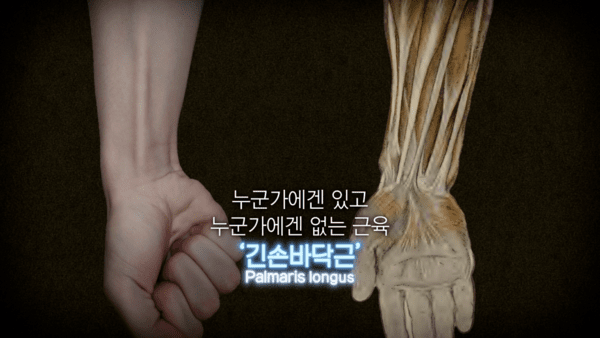 '지식채널e' 인체 해부도·짬짜면·전업자녀의 재발견