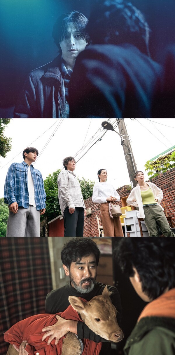 '사피엔스' '세대유감' '정가네'. 사진=부산국제영화제